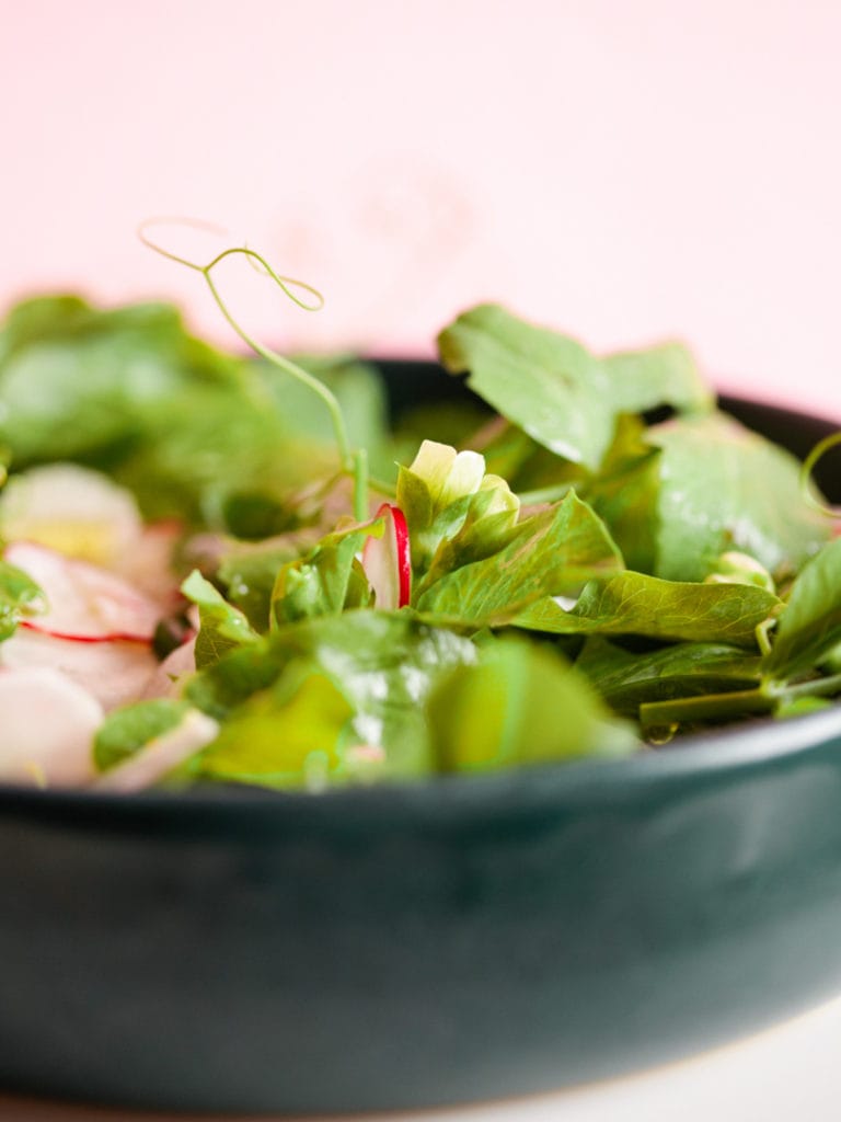 salat mit erbsenblätter und radieschen