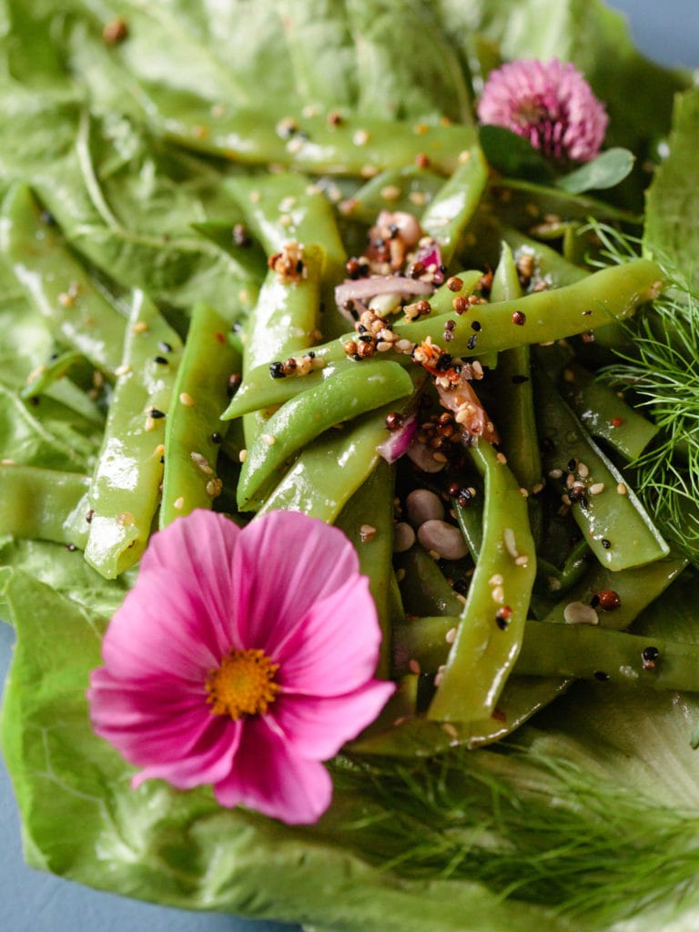 bohnensalat vom acker