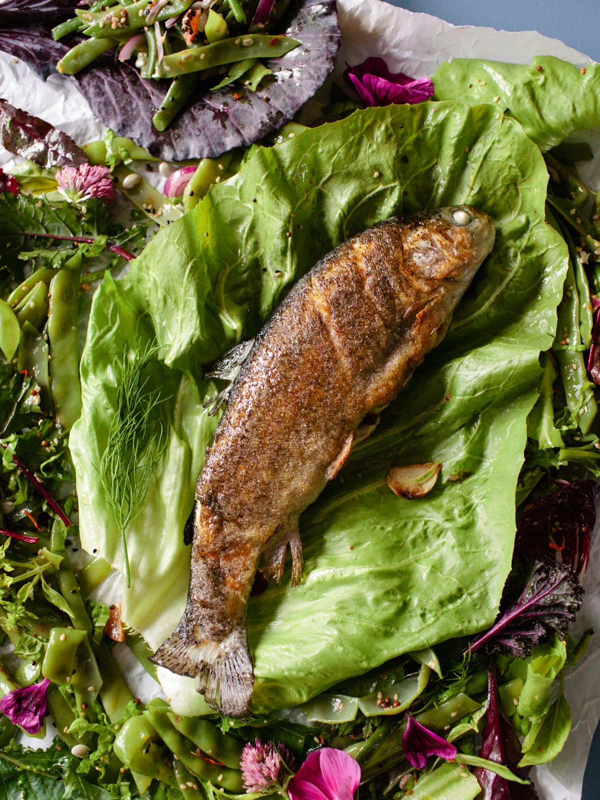 bunter bohnensalat mit forelle